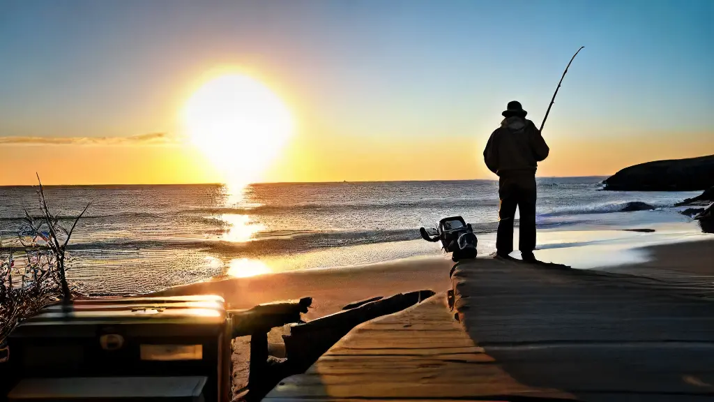 How to Choose Reels for Bank Fishing in Saltwater