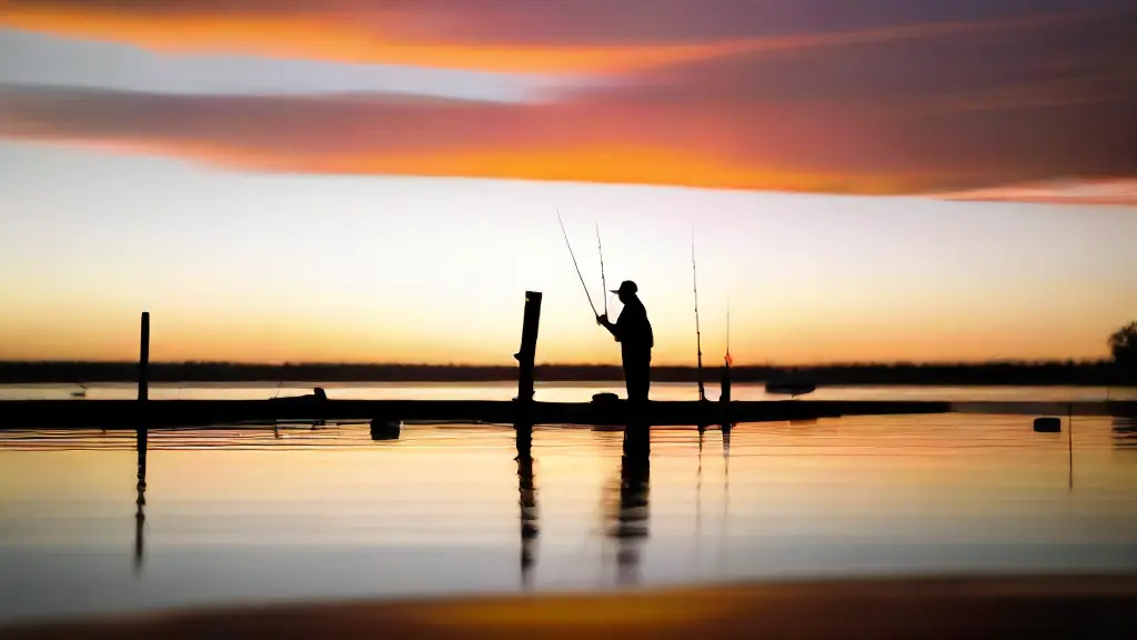 Spinning vs. Baitcasting Reels for Bank Fishing