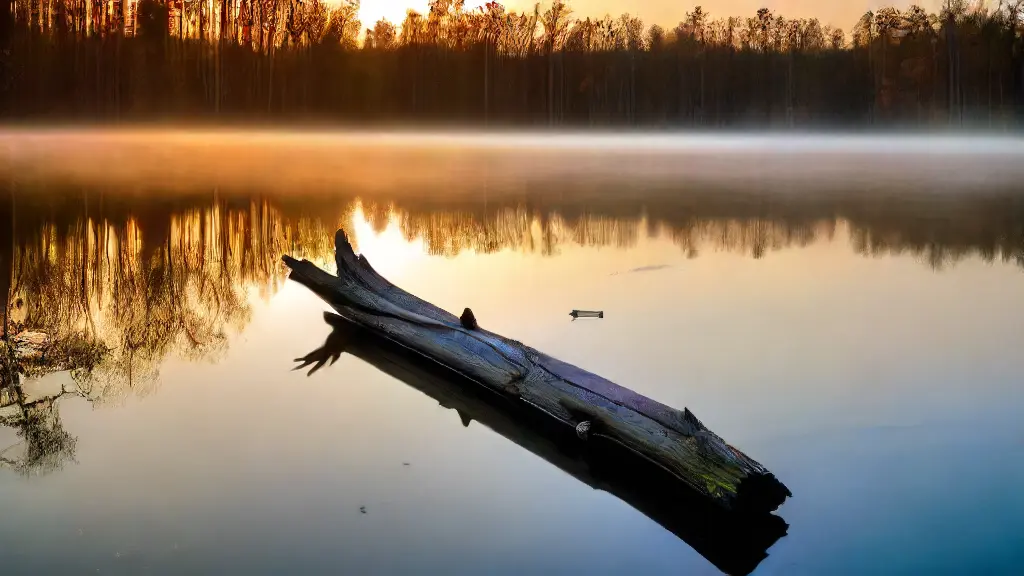 Soft Plastics for Shallow Water Bass Soft Plastics for Shallow Water Bass