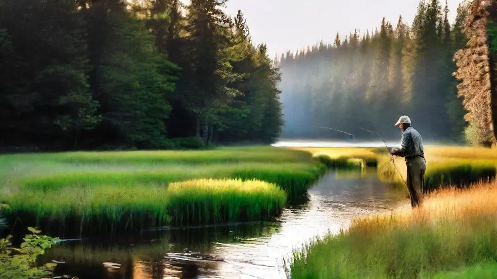 Best Fly Rod Length for Stream Fishing