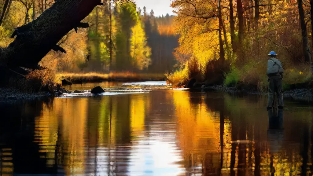 Best Fly Rods for Dry Fly Fishing