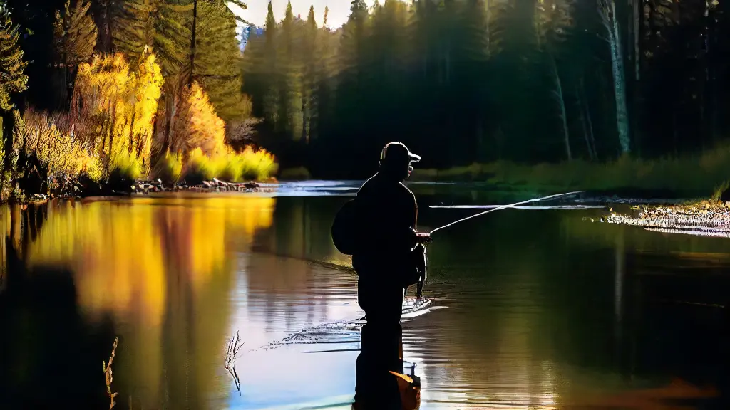 Best Fly Rods for Dry Fly Fishing