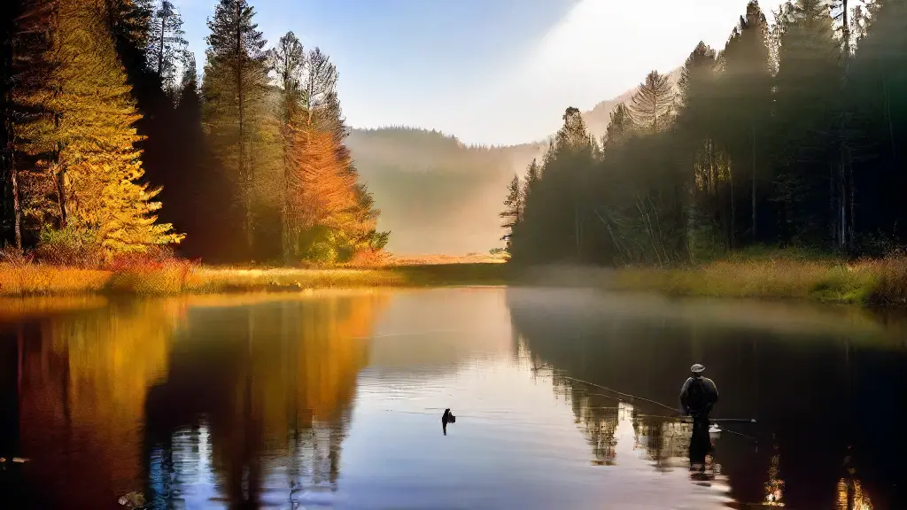 Choosing the Right Fly Rod Weight for Trout