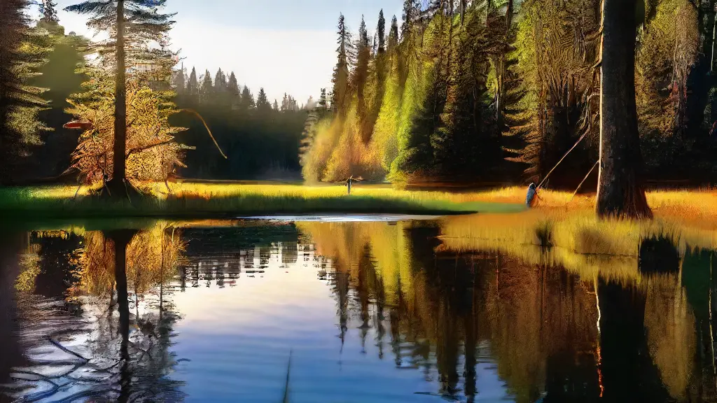 Understanding Fly Rod Action