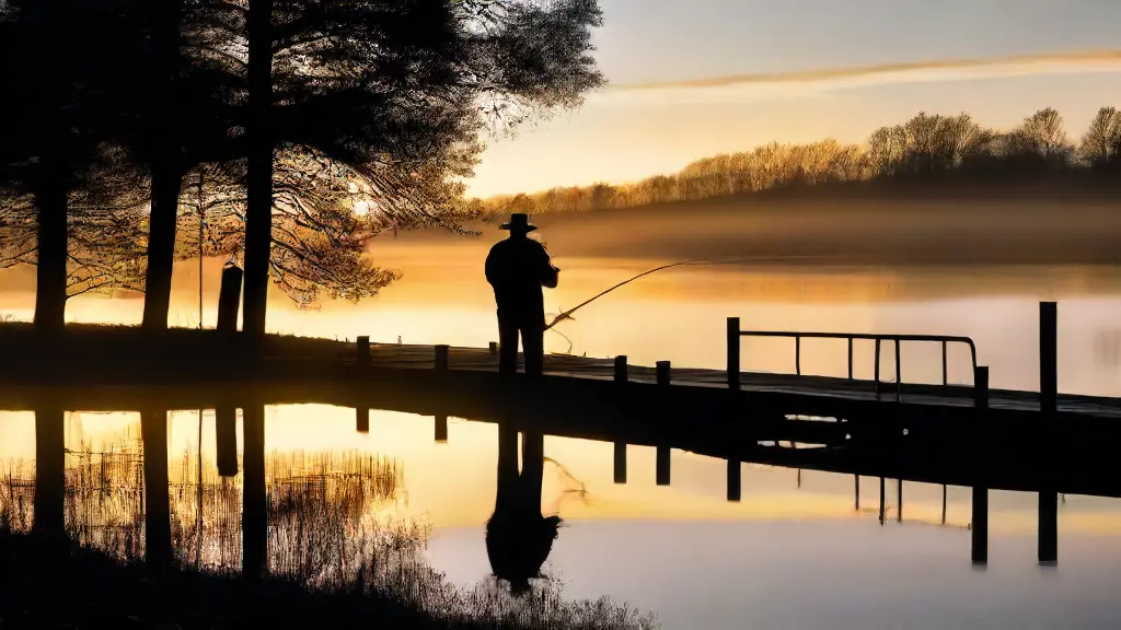 Premium Reels for Serious Anglers