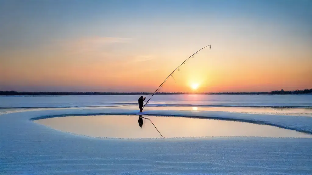 Ice Fishing Electronics: Flashers vs. Cameras