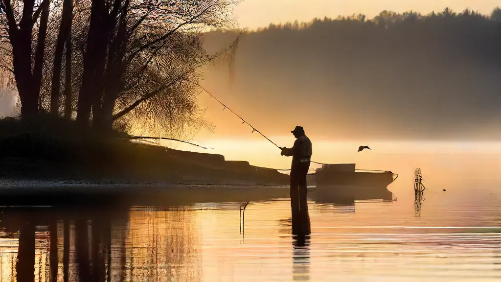 Catching Your Own Live Bait for Pike Fishing