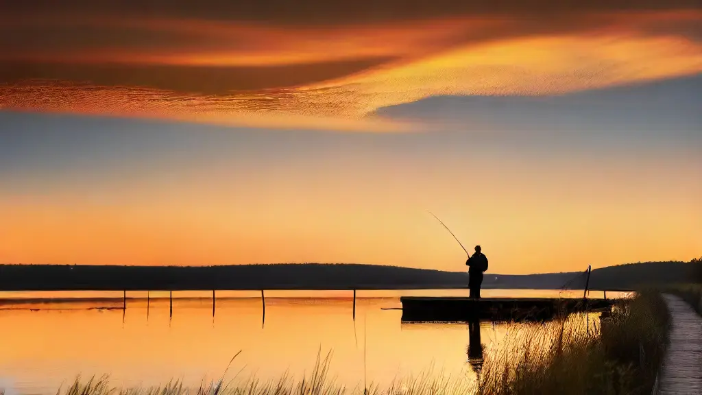 Best Rods for Fishing from Shore and Docks Best Rods for Fishing from Shore and Docks