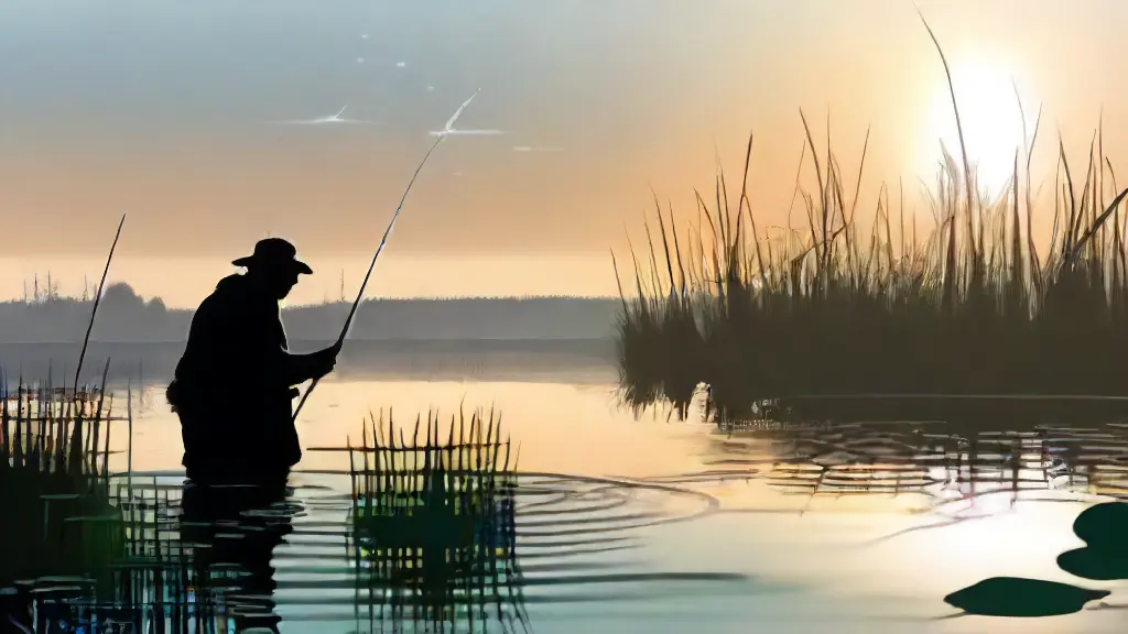 Best Rods for Fishing in Weedy Areas Best Rods for Fishing in Weedy Areas
