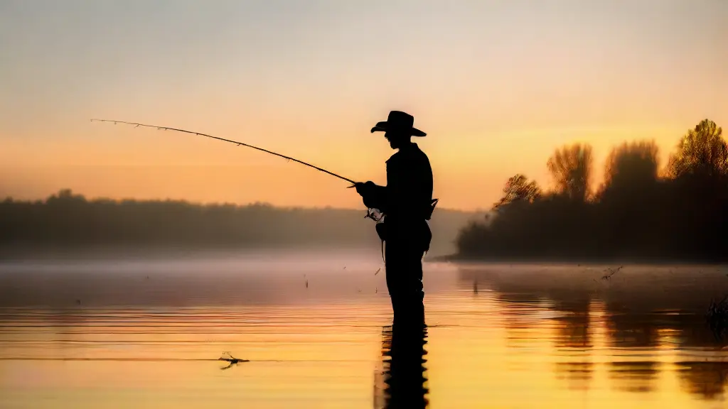 Best Panfish Rods for Beginners