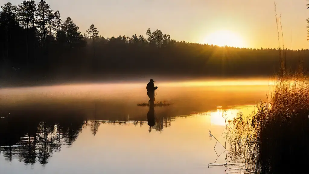 How to Use Walking Baits for Bass