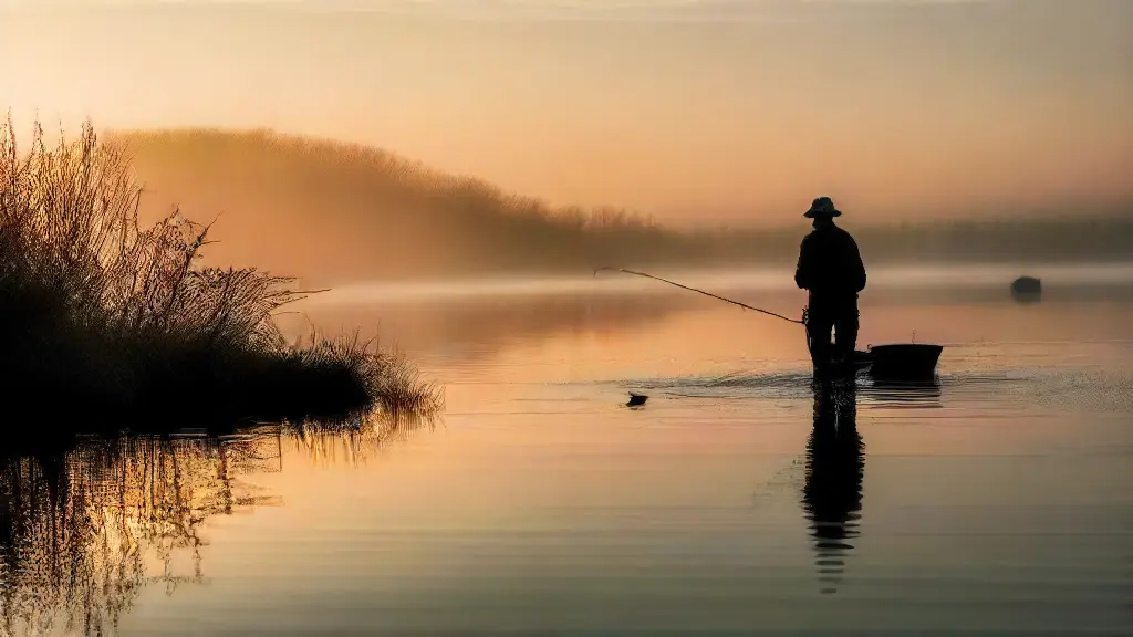 Best Ways to Use Bait Fish in Murky Water