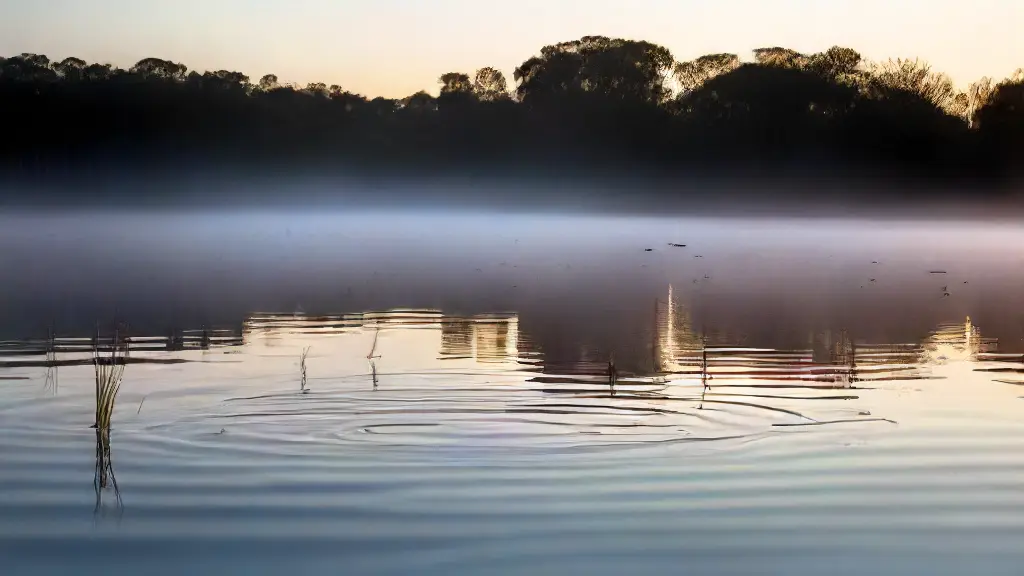 How Bait Fish Respond to Environmental Stress